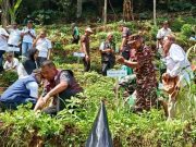 Jatubu Tanam Kopi di Kupangan, Waketum DPP GAN Minta Tanaman Dirawat