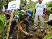Aksi Nyata HPN 2026: PWI Kudus dan Bupati Sam’ani Tanam Pohon di Lereng Muria
