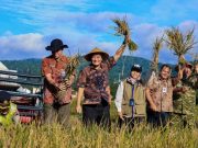 Panen Raya Serentak 35 Daerah di Jawa Tengah, 3 Bulan Hasilkan 3,35 Juta Ton GKG