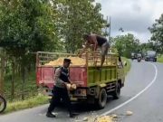 Kolaborasi Polisi dan Sopir Truk di Grobogan, Tambal Jalan Berlubang Dengan Dastu