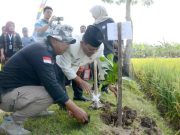 Aksi Hijau Mahasiswa Universitas Annur Purwodadi Tanam 1.500 Bibit Pohon, Upaya Nyata Cegah Banjir di Desa Cingkrong