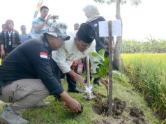 Aksi Hijau Mahasiswa Universitas Annur Purwodadi Tanam 1.500 Bibit Pohon, Upaya Nyata Cegah Banjir di Desa Cingkrong