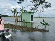Pemprov Jateng Pastikan Petani Grobogan Terlindungi AUTP Usai Sawah Terendam Banjir
