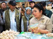 Bulog Dampingi Komisi IV DPR RI Sidak Pasar Legi, Pastikan Harga dan Stok Pangan Stabil