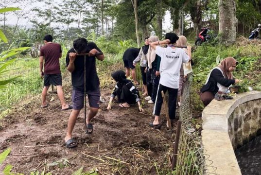 Percantik Apotek Hidup, Mahasiswa KKN UPGRIS Revitalisasi Taman Toga Desa Keji