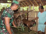 Perkuat Kemanunggalan dengan Rakyat, Satgas TMMD Kunjungi Peternakan Sederhana Milik Warga