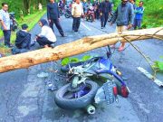Pemotor Luka-luka, Tabrak Pohon yang Mendadak Tumbang Melintang Jalan