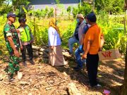 Mayat Bayi di Lahan Perkebunan Menggegerkan Warga