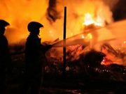 Rumah Pembibitan Tanaman Ludes Terbakar