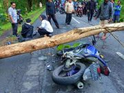 Cuaca Ekstrem, Pranata Mangsa dan Hujan Lebat Disertai Petir