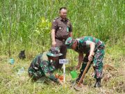1000 Bibit yang Ditanam di Somagede Tumbuhkan Harapan Baru untuk Masa Depan