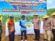 Polres Bersama Forkopimda, Memimpin Tanam Jagung Serentak