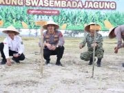 Polres Kebumen Tanam Jagung Serentak Kuartal I di Muktisari