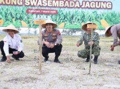 Polres Kebumen Tanam Jagung Serentak Kuartal I di Muktisari