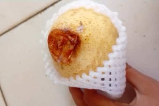 Viral! Buah Pir Busuk dan Berulat Ditemukan dalam Menu MBG di Undaan Kudus, SPPG Minta Maaf