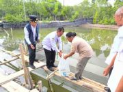 Perkuat Ketahanan Pangan, Pemkab Brebes Salurkan 105.000 Benih Kakap Putih untuk Pokdakan