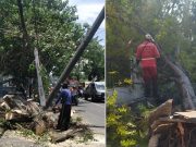 Badai Melanda Semarang, Papan Reklame dan Puluhan Pohon Tumbang
