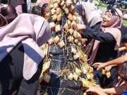 Puncak Pesta Lomban 2026, 1447 Buah Kupat Lepet Ludes Dalam 15 Menit
