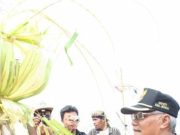 Ini Sejarah Festival Kupat di Lomban di Jepara