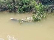 Hilang Sejak Dini Hari, Kakek 81 Tahun Ditemukan Meninggal Dunia di Kali Apur Godong