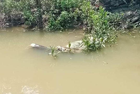 Hilang Sejak Dini Hari, Kakek 81 Tahun Ditemukan Meninggal Dunia di Kali Apur Godong