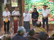 Dukung Swasembada Pangan, Bupati Sediakan 100.000 Hektare untuk Tanam Jagung di Blora