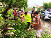 Musim Pancaroba, Waspadai Hujan Angin dan Petir