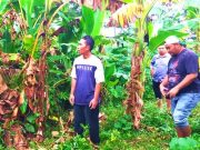 Seorang Pria Ditemukan Tewas dengan Luka di Leher