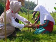PMI Kebumen Ajak Siswa SDN2 Waluyorejo Tanam Bakau di Pantai Gajah