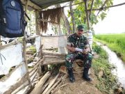 Pelda Budi, Batuud Koramil 02/Karangmalang Ini Setia Dampingi TMMD dan Warga di Desa Puro