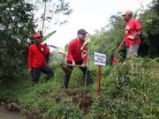 Sumanto Singgung Mitos Genderuwo, Pohon Besar Dijaga demi Kelangsungan Sumber Air Desa