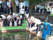 Bupati Kudus Tebar 15 Ribu Benih Ikan Nila di Kedung Gupit, Boleh Dipancing Asal..