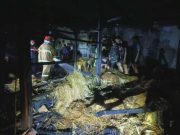 Rumah Limasan Milik Warga Desa Tambirejo Ini Terbakar, Polisi Ungkap Korsleting Listrik Jadi Penyebabnya