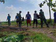 TNI dan Warga Bahu Membahu, Harapan Baru Tumbuh di Desa Puro