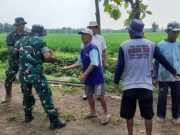 Kakek Sutarno Jadi Pelecut Semangat Satgas TMMD dalam Pembangunan Desa Puro