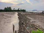 Tanggapi Krisis Ekologi Pesisir Jepara, BEM FSH UNISNU Inisiasi Advokasi Hukum dan Restorasi Mangrove