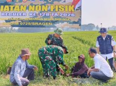 Jejak Hijau TMMD Tinggalkan Harapan, Warga Sampaikan Ucapan Terima Kasih