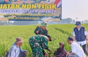 Jejak Hijau TMMD Tinggalkan Harapan, Warga Sampaikan Ucapan Terima Kasih