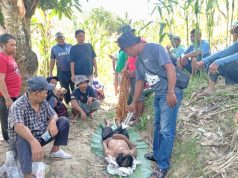 Samijan Meninggal Mendadak di Lahan Perhutani RPH Pucung