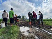 TMMD Sragen Ubah Jalan Becek Jadi Beton, Dorong Ekonomi Warga Desa Puro