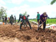 Dansatgas TMMD Sragen Terjun di Lapangan Bantu Pengurukan Tanah Pembangunan Jalan di Desa Puro