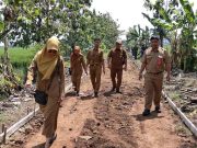 Dinas PMD Sragen Tinjau Cor Blok Jalan TMMD, Pastikan Pekerjaan Sesuai Standar