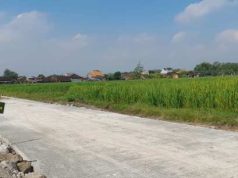Jalan Mulus TMMD Permudah Angkut Hasil Panen, Mbah Suradi Bersyukur