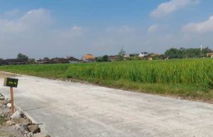 Jalan Mulus TMMD Permudah Angkut Hasil Panen, Mbah Suradi Bersyukur