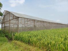 Bagi Petani Melon, Jalan Cor TMMD Membawa Perubahan Besar Permudah Panen