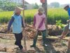 Karung Bekas Jadi Senjata Gotong Royong, Semangat Warga dan Satgas TMMD Tak Pernah Habis
