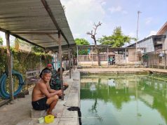 Jalan Cor TMMD Wujudkan Harapan Mbah Midi Buka Usaha Pemancingan