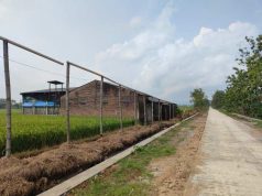 Harapan Suradi Menjalankan Usaha Ternak Ayam Terwujud usai Jalan Cor TMMD Rampung