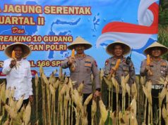 Wakil Bupati Kebumen dan Kapolres Panen 0,42 Ton Jagung