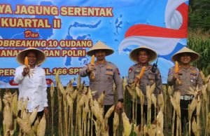 Wakil Bupati Kebumen dan Kapolres Panen 0,42 Ton Jagung